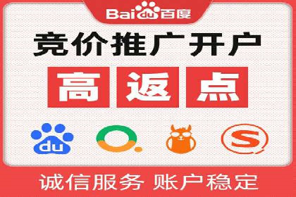 竞价广告投放技巧与案例分析